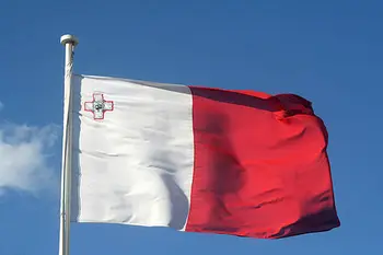 Националните знамена Банери 5*3 ФУТА Полиестер Флаг на страната на Австрия България Хърватия Чешка република Дания Естония Финландия Франция