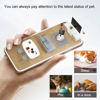 6L Smart Automatic Пет Устройство Visible Cover Пет Cat Dog Food Dispenser Remote Control APP Таймер [Видео/WiFi/Form Version]