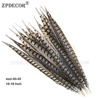 ZPDECOR 40-45 см 16-18 См Дама Амхърст Опашката фазаньи пера