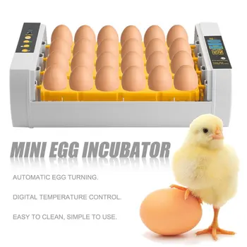 Бърза Доставка Практичен 24 Яйца С Голям Капацитет Мини Инкубатор За Пиле Птици Пъдпъдъчи Яйца Домашно Ползване За Автоматично Завъртане На Яйца