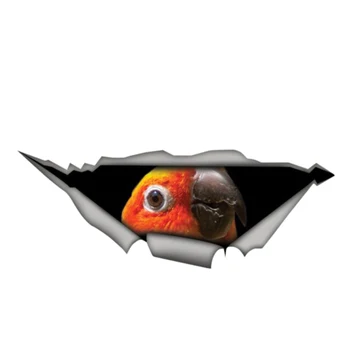 Самоличността на Колата Стикер Sun Conure Parrot Bird 3D Водоустойчив Винил Автомобил Прозорец Високо Качество на Аксесоари Декоративни PVC 13 см Х 5 см