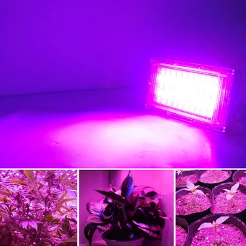 LED Grow Light 50W LED Plant Growing Лампи за Стайни Растения Фито Лампа За Растенията Оранжерия Палатка Цвете Добивна Лампа за Прожектор