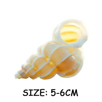 Natural Shell Toys Миди Natural Crafts Natual Big Conch Party Fish Tank Decorate Light Yellow Natural Chishi Snail 3-5cm