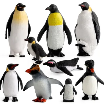 Моделиране На Модел Пингвин Местоположение На Домашни Любимци Пясък Маса Сцена Наука Образование Когнитивен Модел На Животните