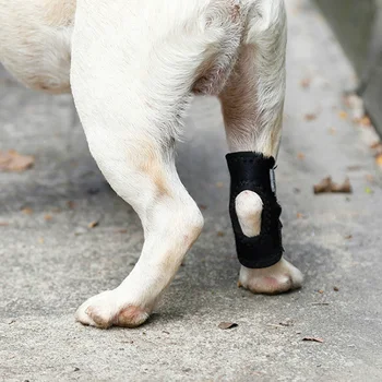 Пет Black Коленете Крака Скоба Pet Dog Коляното Скакательный Става Протектор За Възстановяване На Наранявания Еластична Превръзка Каишка Крак, Глезен Защита На Пет Аксесоар
