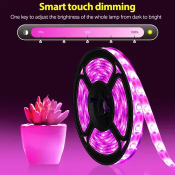 LED Grow Light Full Spectrum USB Grow Light Strip 0.5 m 1m 2m 3 Waterproof Hydroponic Growth Light For Seed Plants Flowers Greenh