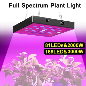 3000/2000 Watt Led Растение Расте Светлина Пълен Набор от светодиоди с Регулируема Въже Расте Светлина