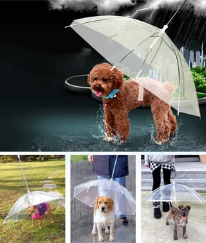 Чадъри за домашни любимци хиена артефакт Плюшено мече, куче, домашен любимец Дъждобран прекрасен зоотовары водоустойчив котка куче чадър за дъжд Разходки
