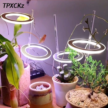 LED Grow Light Full Spectrum Phyto Grow Lamp USB Phytolamp 5V Angel Ring Indoor