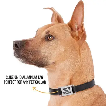 Custom slide on no звънете пет ID tag for collars персонално гравиран яка martingage dog ID tag cat tags slide on dog slient