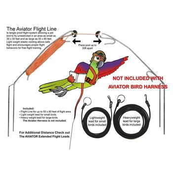 Pet Bird Harness and Leash,Adjustable Parrot Bird Harness Leash - Пет Anti-Bite Training Въжето Outdoor Flying Harness and Leash